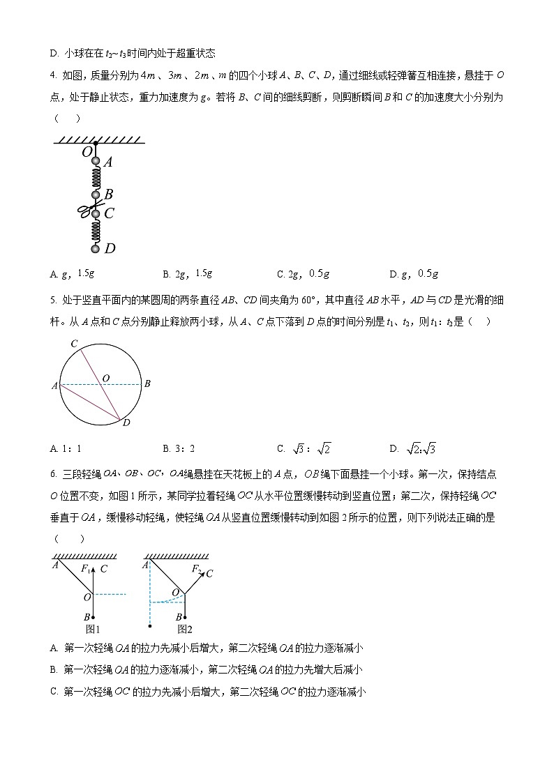 山东省东明县第一中学2025届高三上学期开学考试物理试题 word版第2页