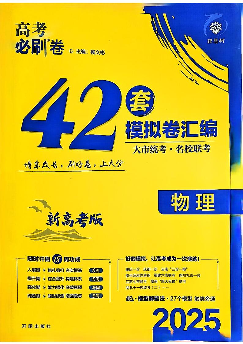 2025高考必刷卷42套物理新高考版第1页