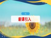 第01讲 质点 参考系（同步课件）-2024-2025学年高一物理课堂（人教版2019必修第一册）