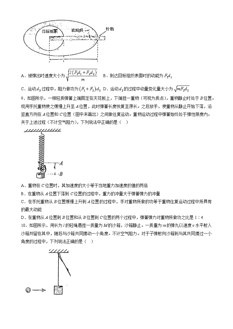 2024北京北师大二附中高三（上）统练二物理第3页