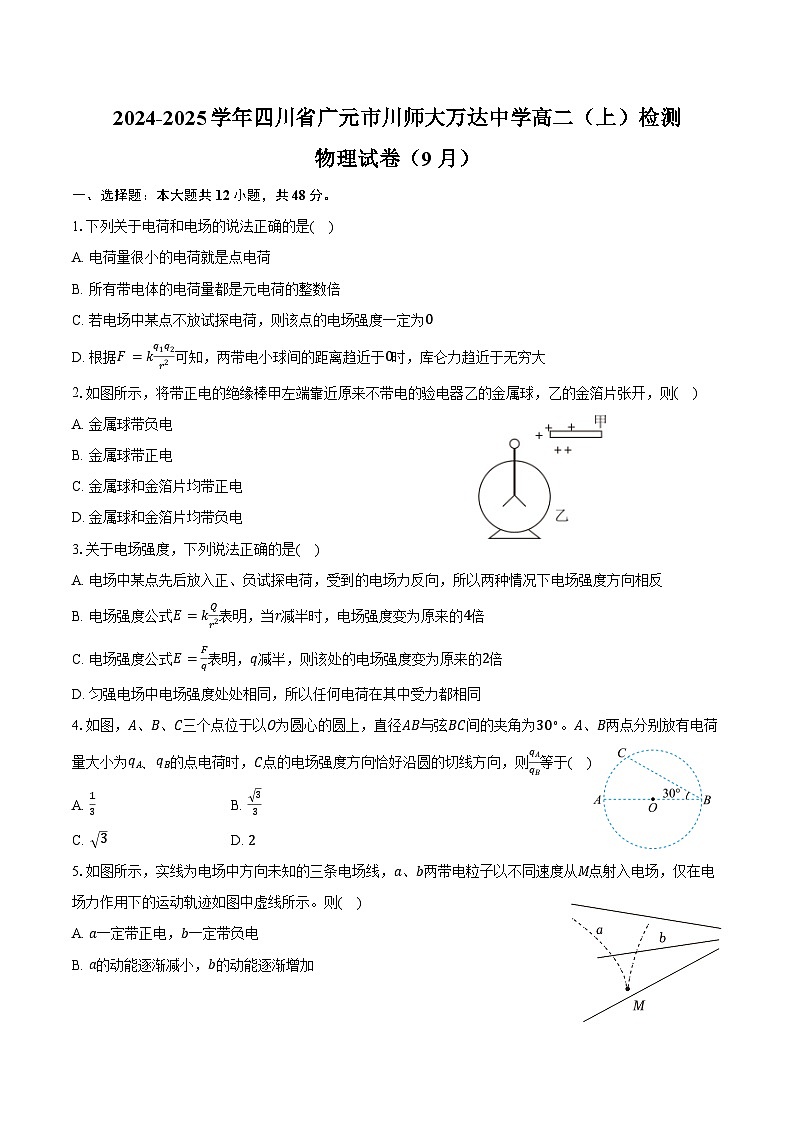 2024-2025学年四川省广元市川师大万达中学高二（上）检测物理试卷（9月）（含解析）第1页