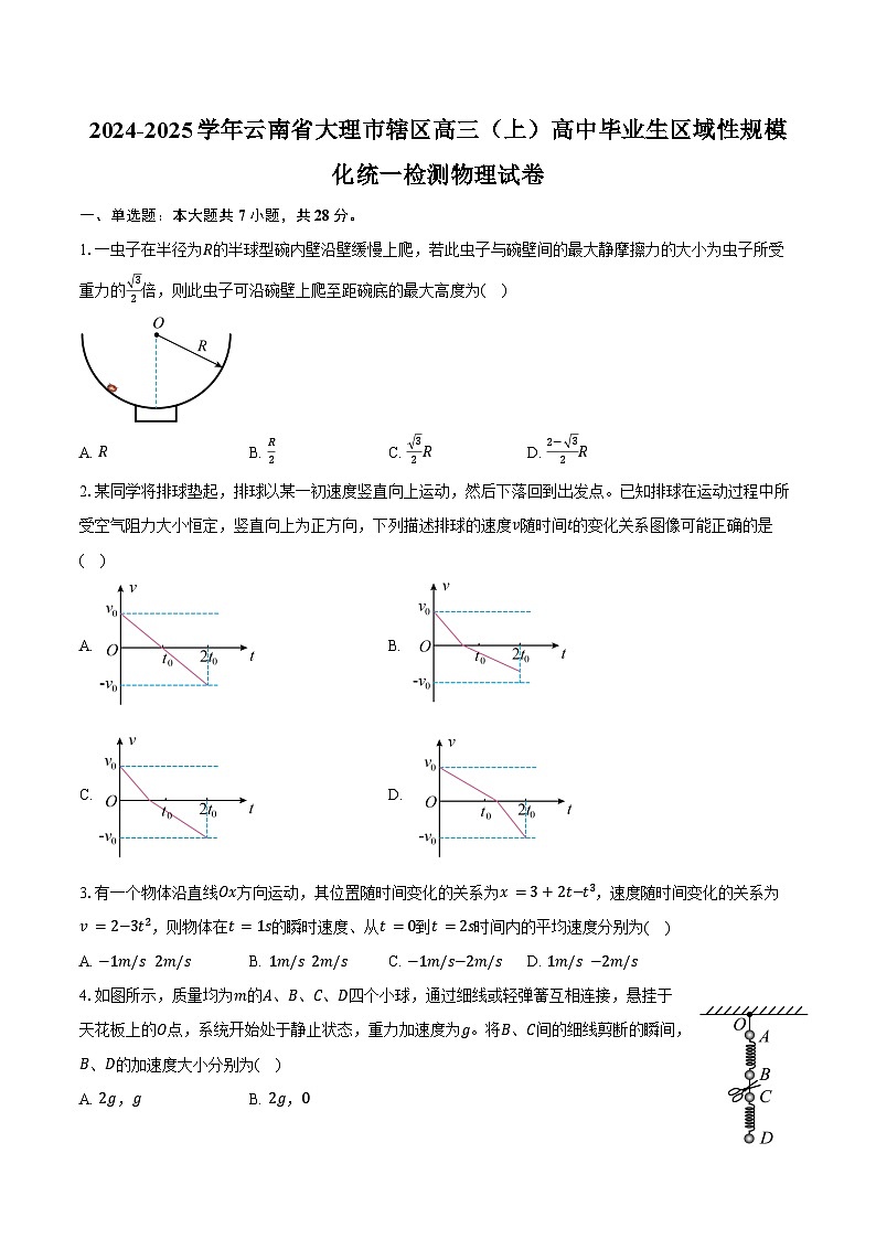 2024-2025学年云南省大理市辖区高三（上）高中毕业生区域性规模化统一检测物理试卷（含答案）01