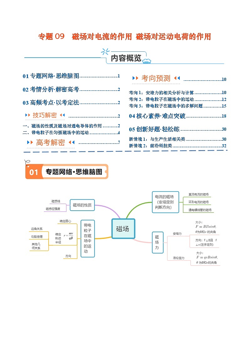 专题09  磁场对电流的作用  带电粒子在磁场中的运动（讲义）-2024年高考物理二轮复习01