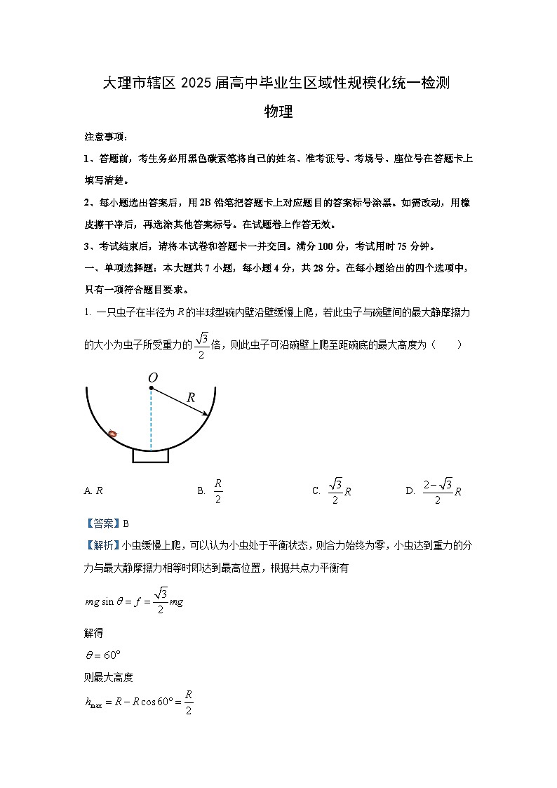 [物理]2025届云南省大理白族自治州大理市高三上学期模拟预测试题(解析版)01