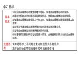 2.4 自由落体运动 课件-2024-2025学年高一上学期物理人教版（2019）必修第一册