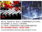 2.4 自由落体运动 课件-2024-2025学年高一上学期物理人教版（2019）必修第一册