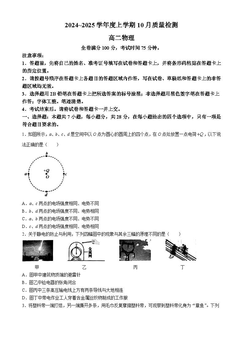 河南省周口市鹿邑县第二高级中学2024-2025学年高二上学期10月质量检测物理试卷第1页