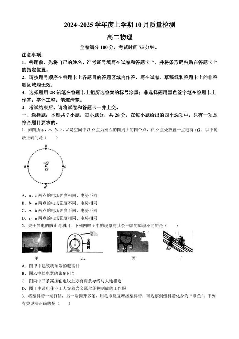[物理]河南省周口市鹿邑县第二高级中学2024～2025学年高二上学期10月质量检测试卷(有解析)第1页