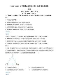湖南省长沙市麓山国际实验学校2024-2025学年高二下学期第一次月考物理试题(Word版附解析)