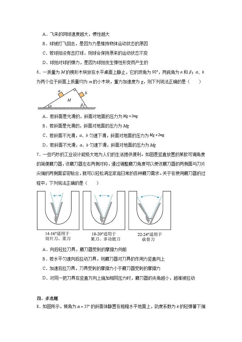 2025届广东省联考高三上学期10月第一次模拟（一模）物理试题第3页
