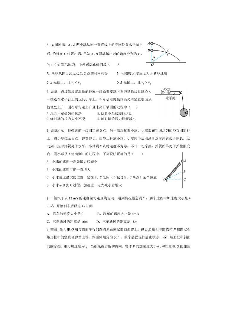 [物理]四川省眉山市彭山区第一中学2024～2025学年高三上学期10月月考试卷(有答案)第2页