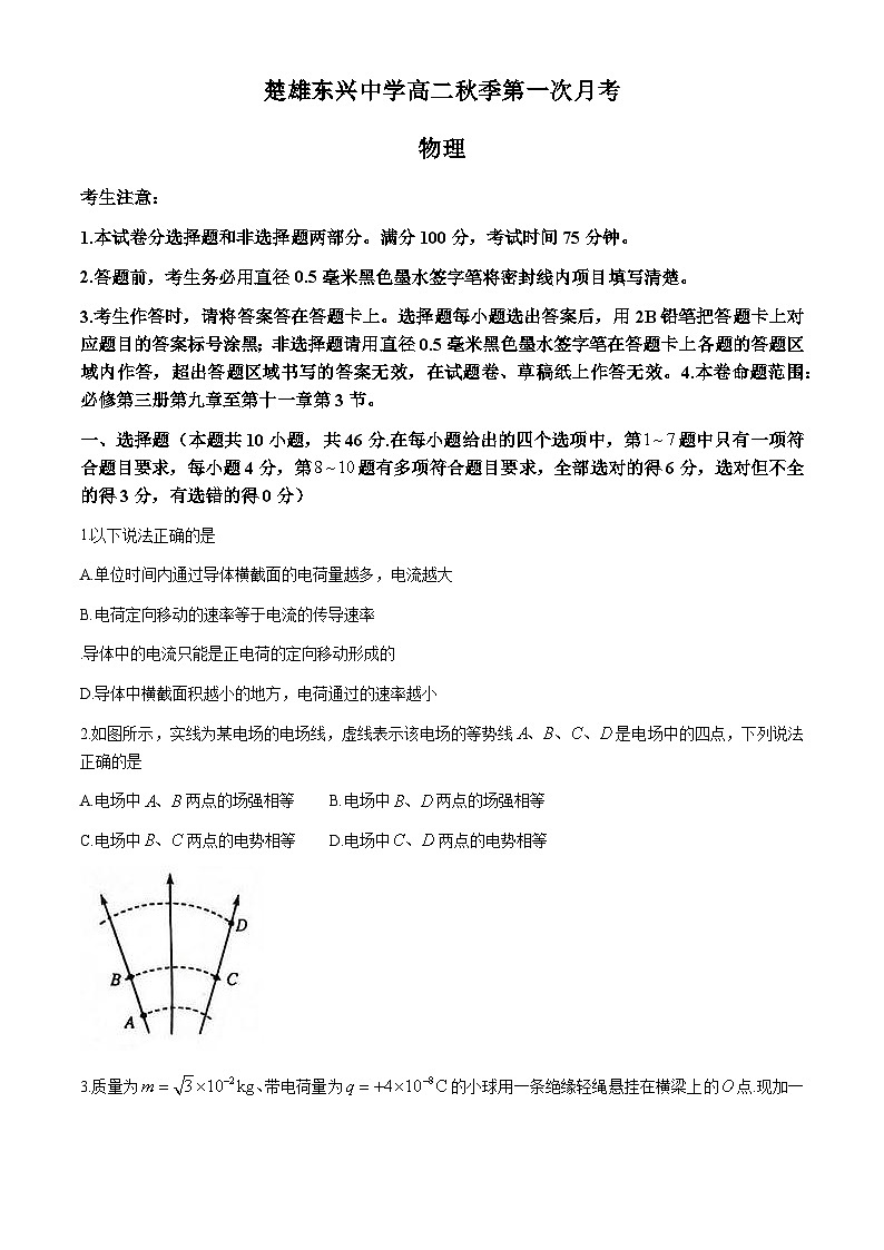 云南省楚雄东兴中学2024-2025学年高二上学期10月月考物理试题第1页