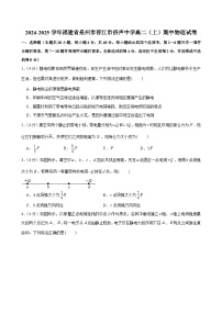 福建省泉州市晋江市侨声中学2024-2025学年高二上学期期中物理试卷