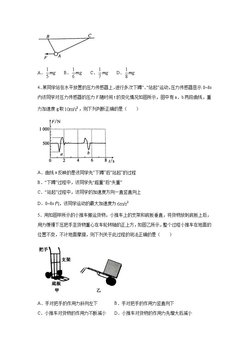 [物理]河南省九师联盟2024-2025学年高三上学期9月联合检测试题(解析版)第2页