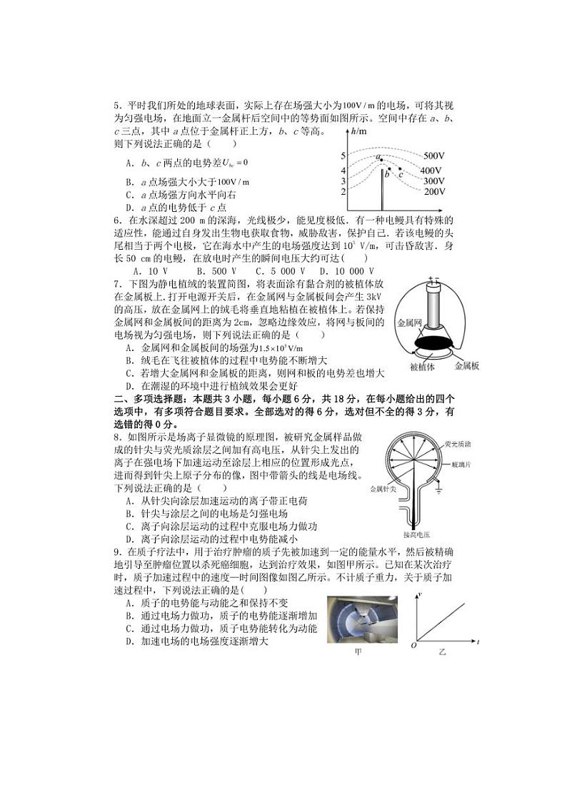 [物理]广东省茂名市电白区电海中学2024～2025学年高二上学期10月月考试题(选择性)第2页