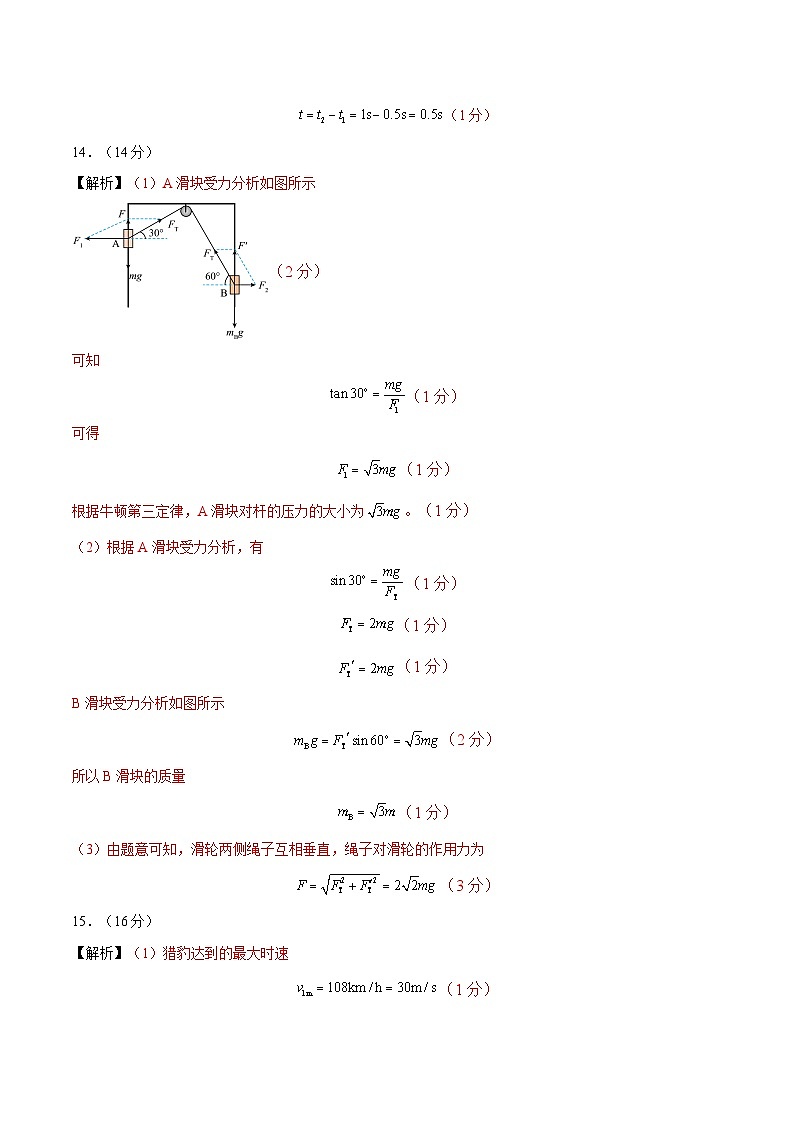 2024-2025学年高一上学期期中模拟考试物理（黑吉辽专用，人教版2019必修一，1_3章）03试卷（Word版附解析）02