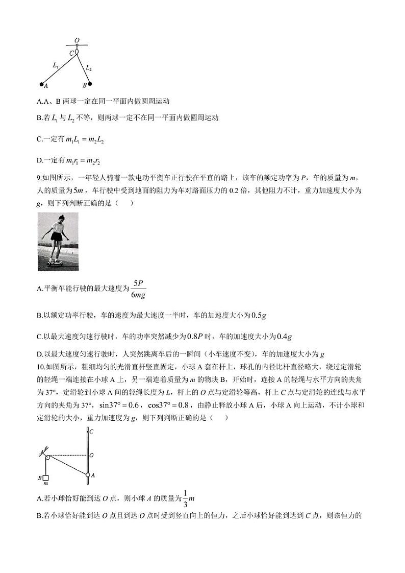 2025届九师联盟高三上学期10月期中联考物理试题+答案第3页