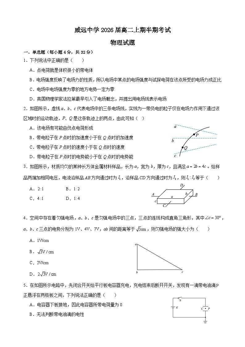 四川省内江市威远中学校2024-2025学年高二上学期期中考试物理试题01