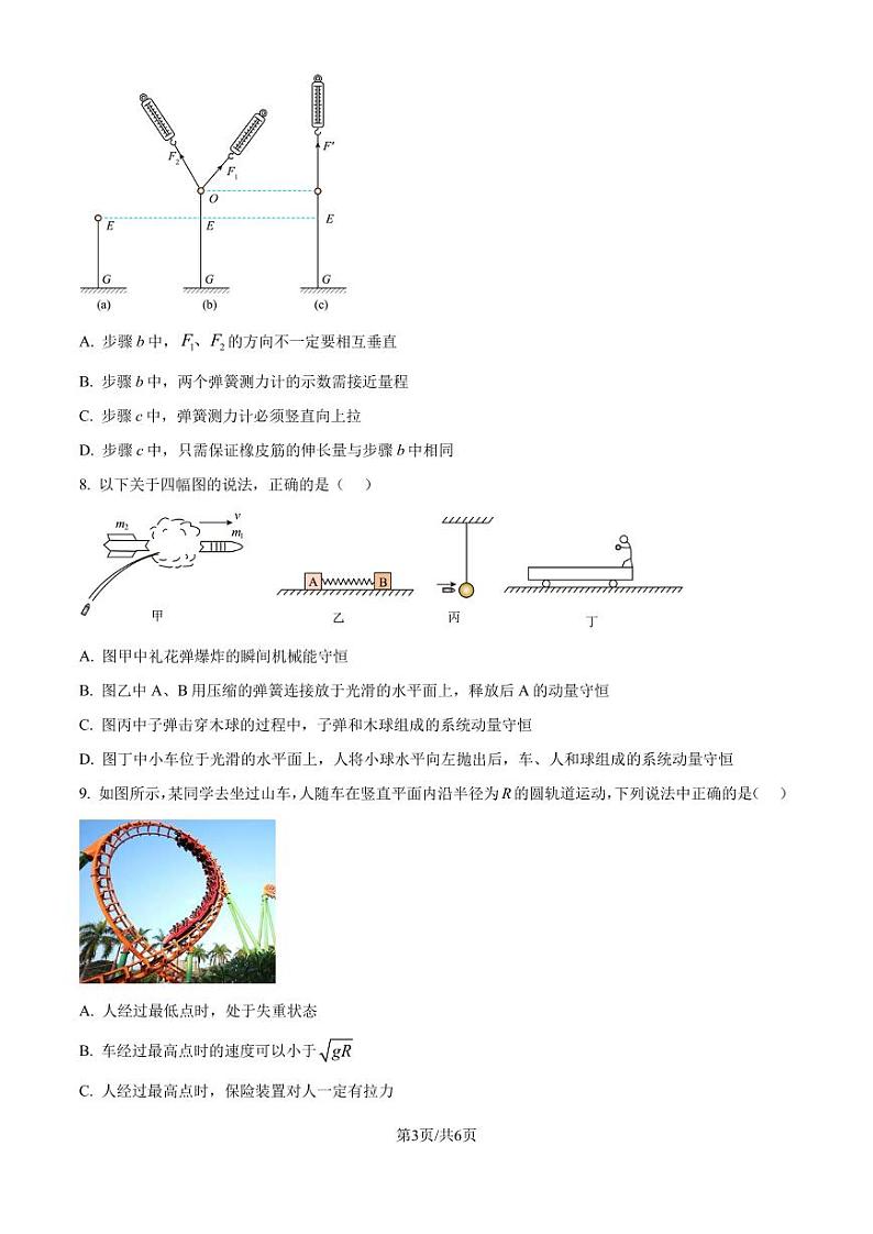 江苏扬州市高邮市2024-2025学年高三上学期10月月考物理试题（原卷版+解析版）第3页