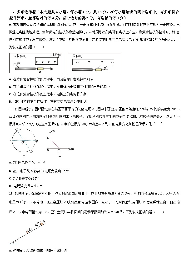 吉林省通化市梅河口市第五中学2024-2025学年高二上学期10月期中物理试题第3页