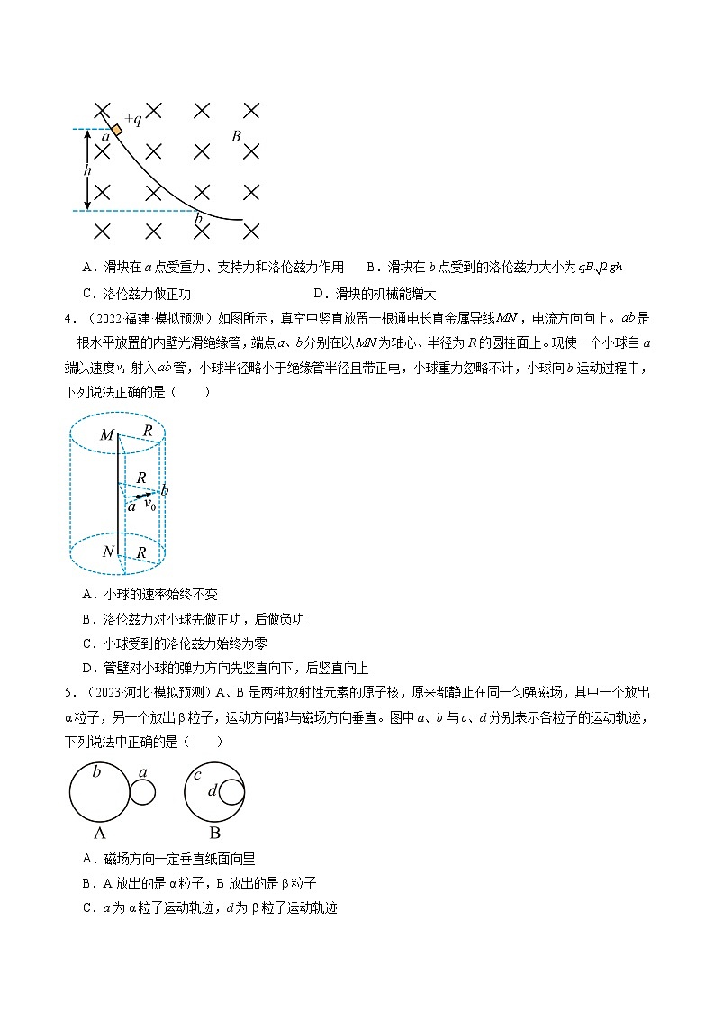 2024高考物理一轮复习第50讲磁场对运动电荷的作用(练习)(学生版+解析)第2页