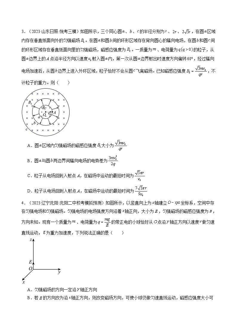 2024高考物理一轮复习第53讲带电粒子在复合场中的运动(练习)(学生版+解析)第2页