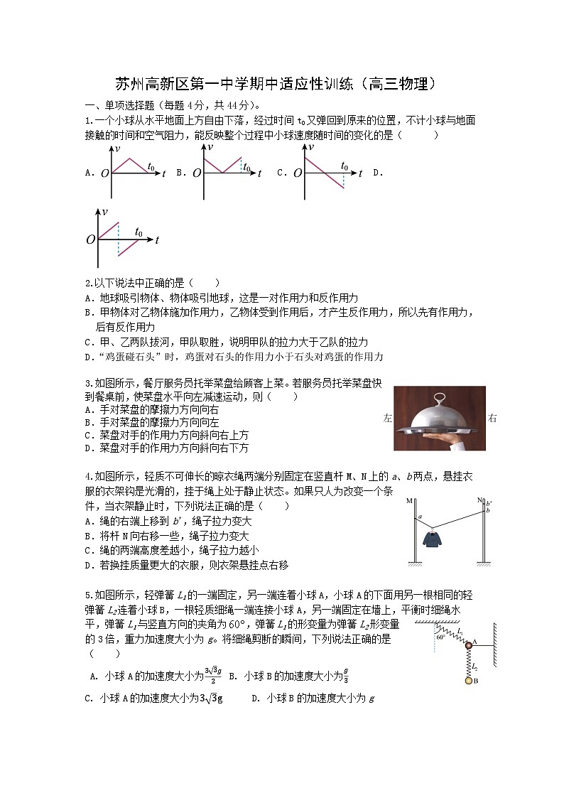 江苏省苏州市苏州高新区第一中学2024-2025学年高三上学期10月期中检测物理试题第1页
