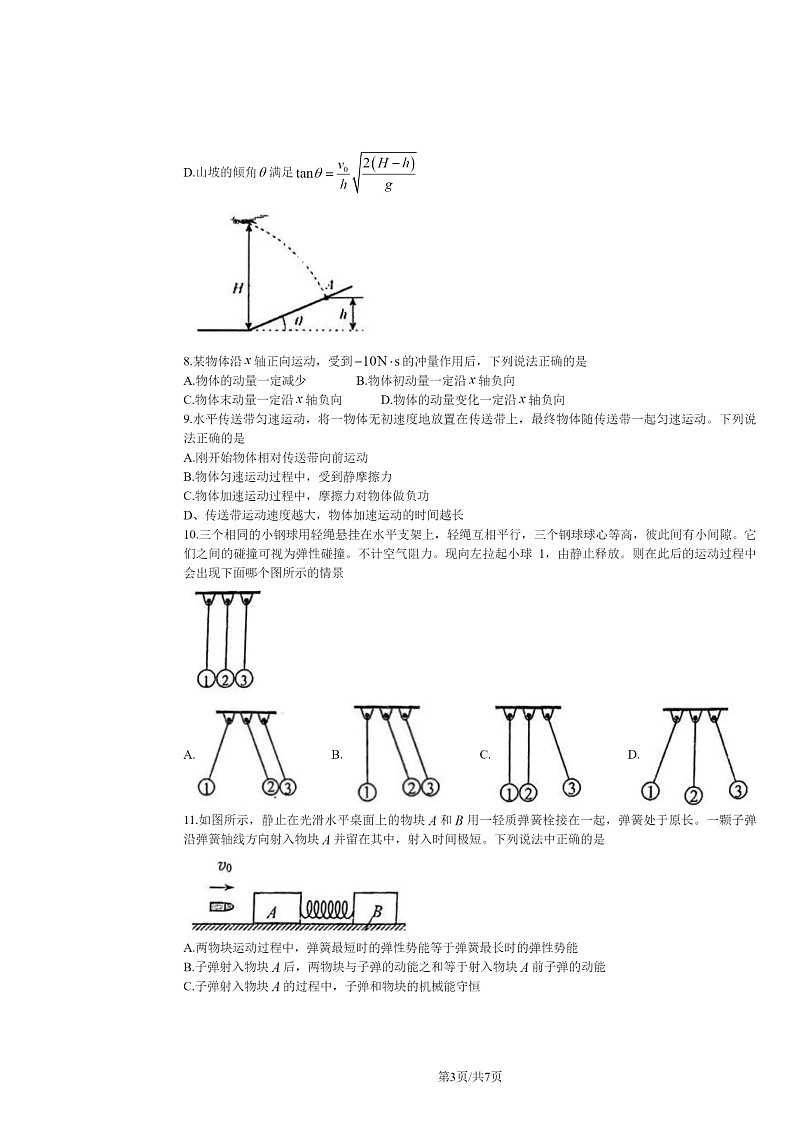 2024北京北师大二附中高三上学期10月月考物理试卷03