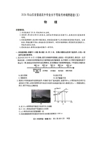 山东省菏泽市2024届高三下学期模拟预测（五）（图片版）物理试卷