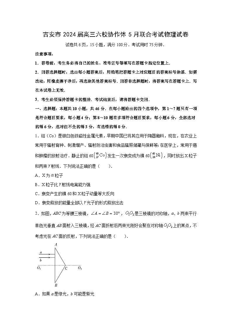 江西省吉安市六校协作体2023-2024学年高三下学期5月联合物理试卷(解析版)01