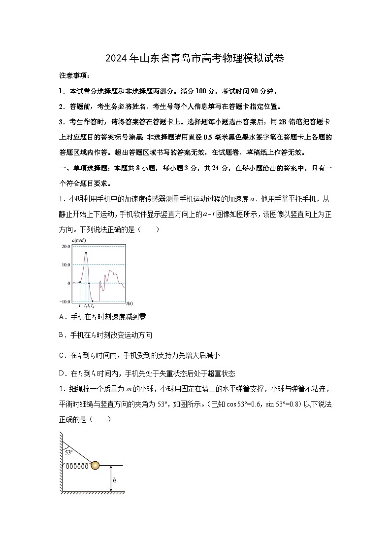 山东省青岛市2024届高三下学期模拟物理试卷(解析版)01