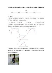 2025届四川省绵阳市高中高三上学期第一次诊断性考试物理试卷