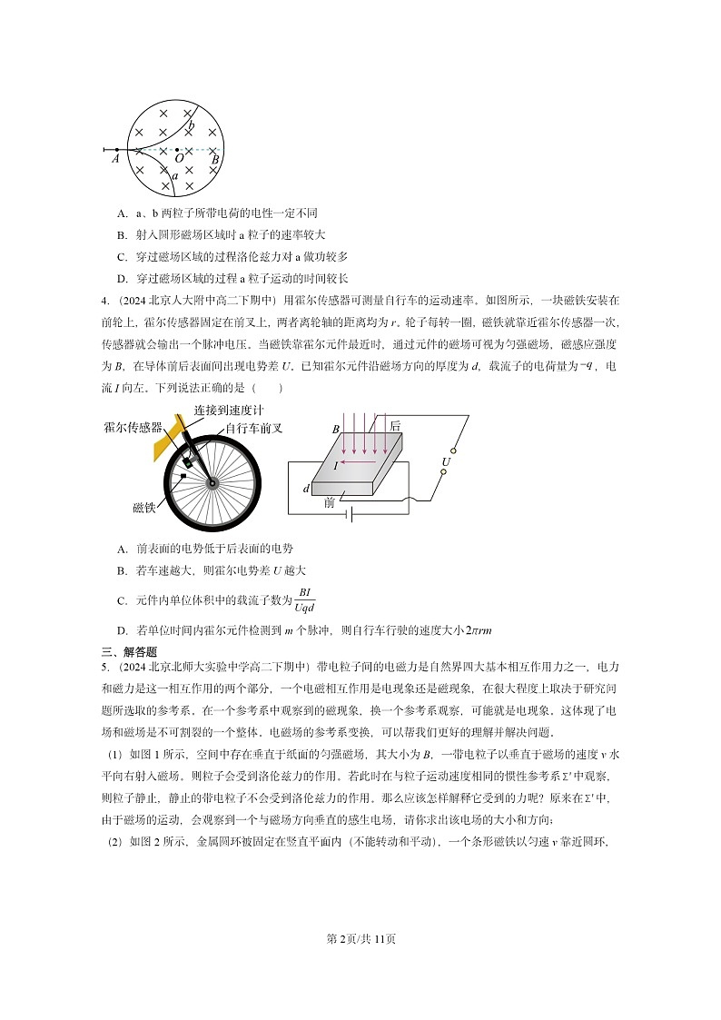 2024北京重点校高二下学期期中真题物理分类汇编：安培力与洛伦兹力章节综合第2页