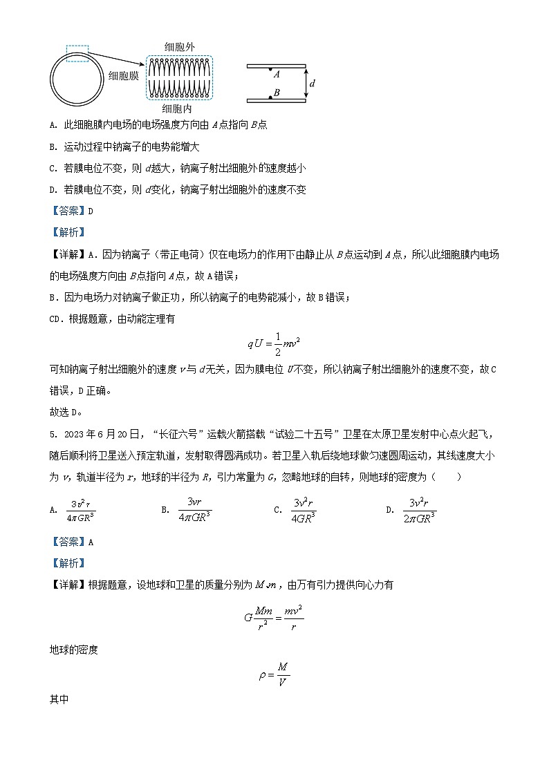 四川省金堂县2023_2024学年高三物理上学期9月月考理综试题含解析第3页