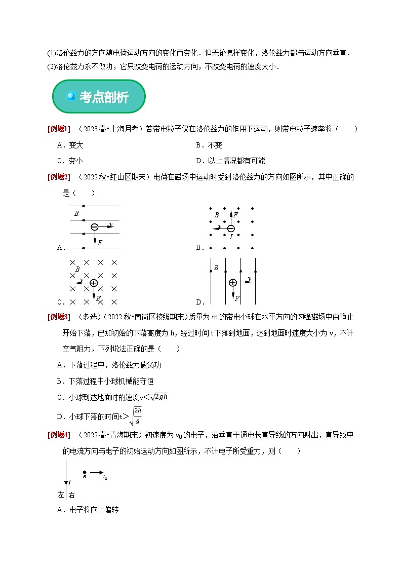 人教版高中物理选择性必修二同步讲义1.2 磁场对运动电荷的作用力（2份，原卷版+解析版）03