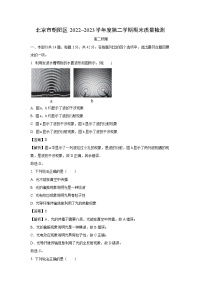 北京市朝阳区2022-2023学年高二下学期期末质量检测物理试卷(解析版)