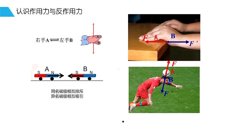 3.3 牛顿第三定律 课件 高一上学期物理人教版（2019）必修第一册+第3页