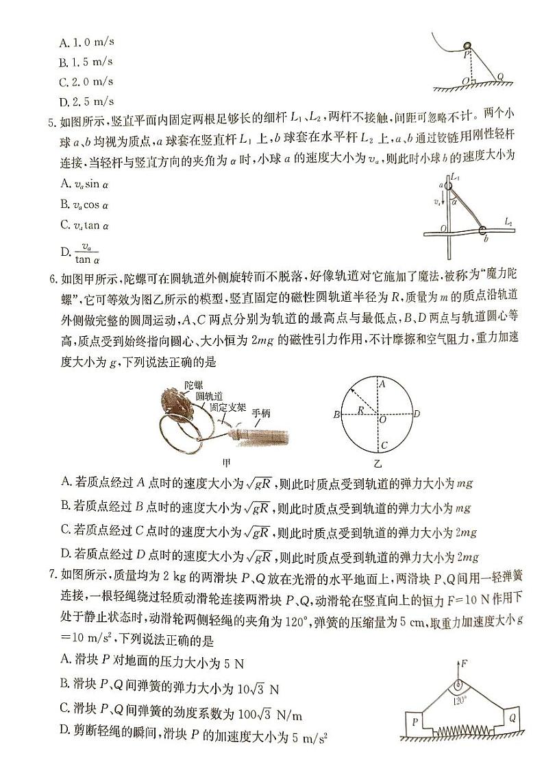 河北省联考2024-2025学年高三上学期9月月考物理试题第2页
