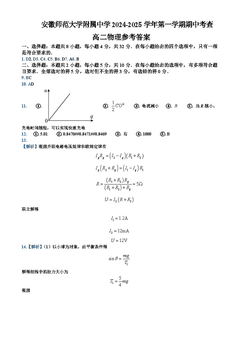 安徽省芜湖市安徽师范大学附属中学2024-2025学年高二上学期11月期中物理试题01