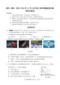 浙江省湖州、丽水、衢州三地市2025届高三教学质量检测物理试题+答案（湖丽衢一模）