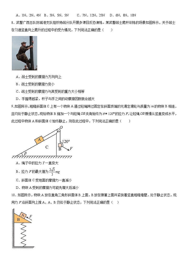 人教版高中物理必修一 同步精讲精练第3章 相互作用力（基础版）（学生版）第3页