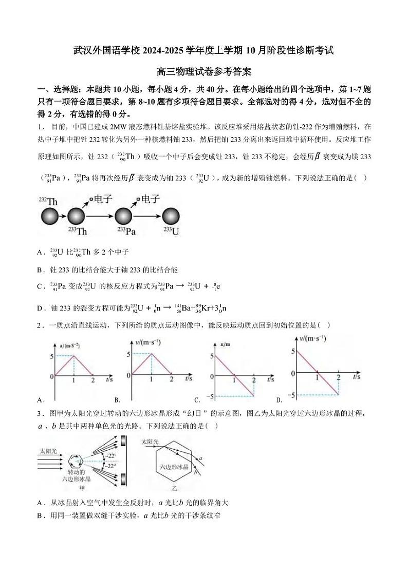 物理丨湖北省武汉外国语学校2025届高三上学期11月阶段性诊断考试物理试卷及答案第1页