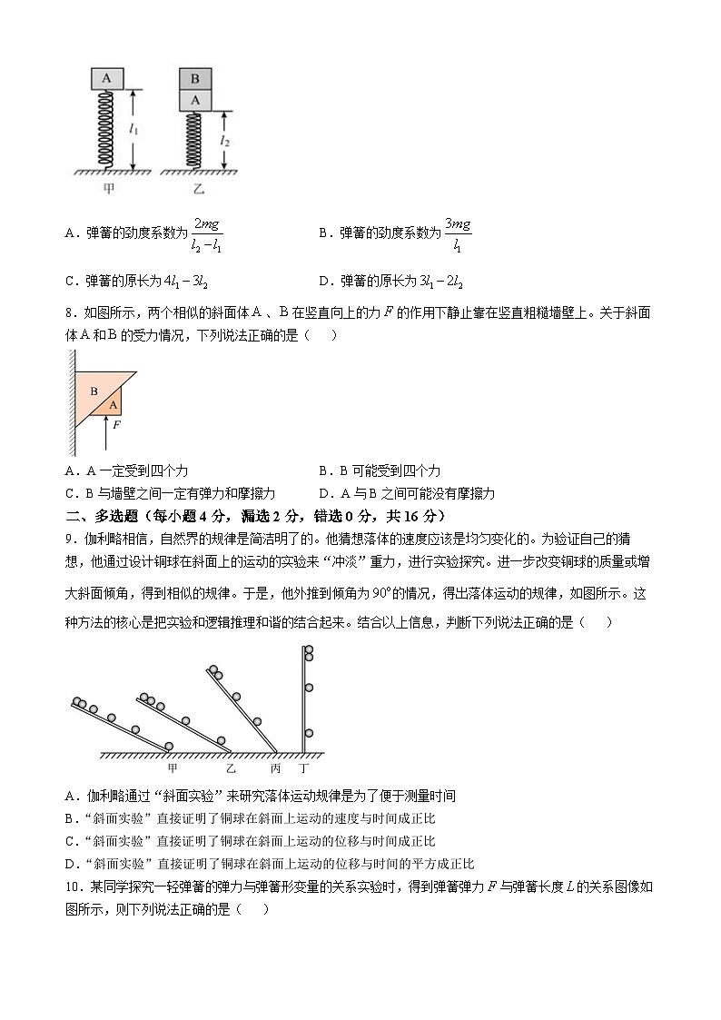 山东省滨州市惠民县第一中学2024-2025学年高一上学期11月月考物理试题第3页