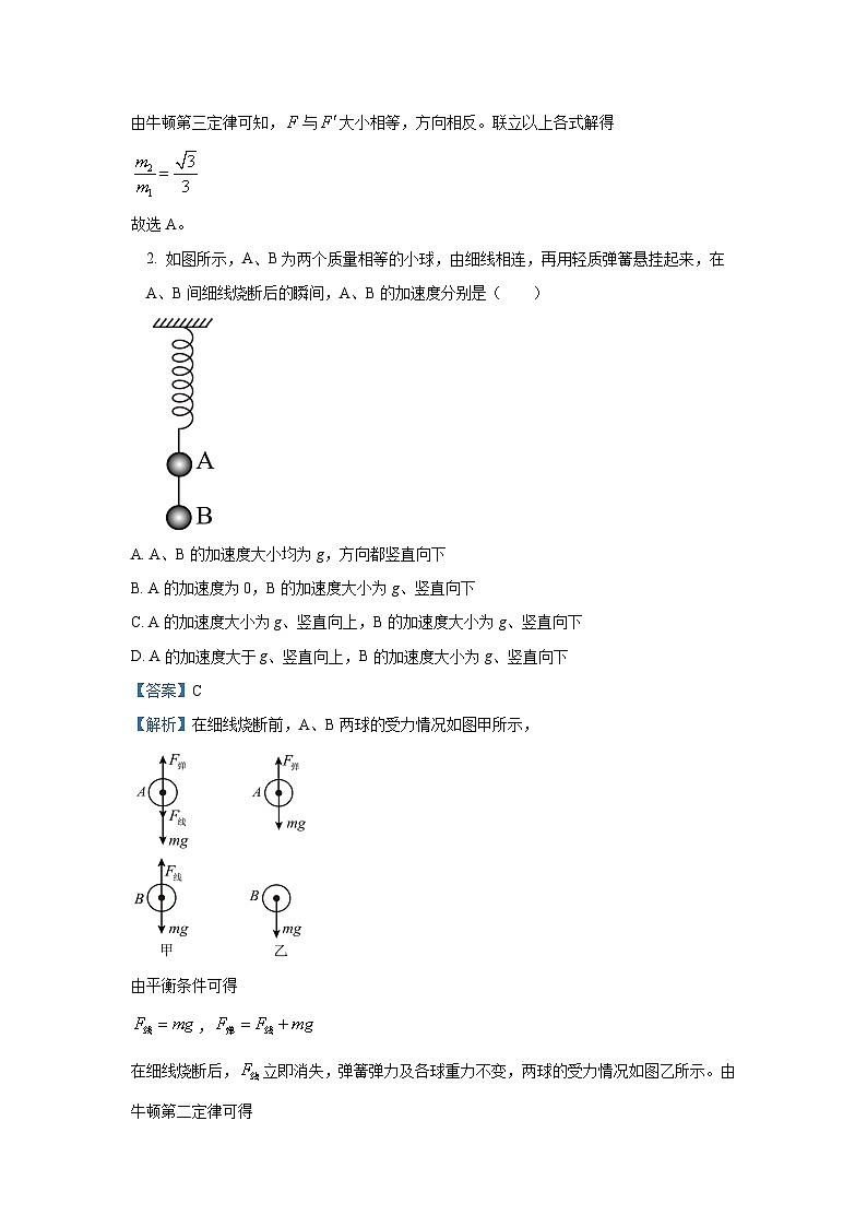 天津市红桥区2024-2025学年高三上学期期中物理试卷[解析版]第2页