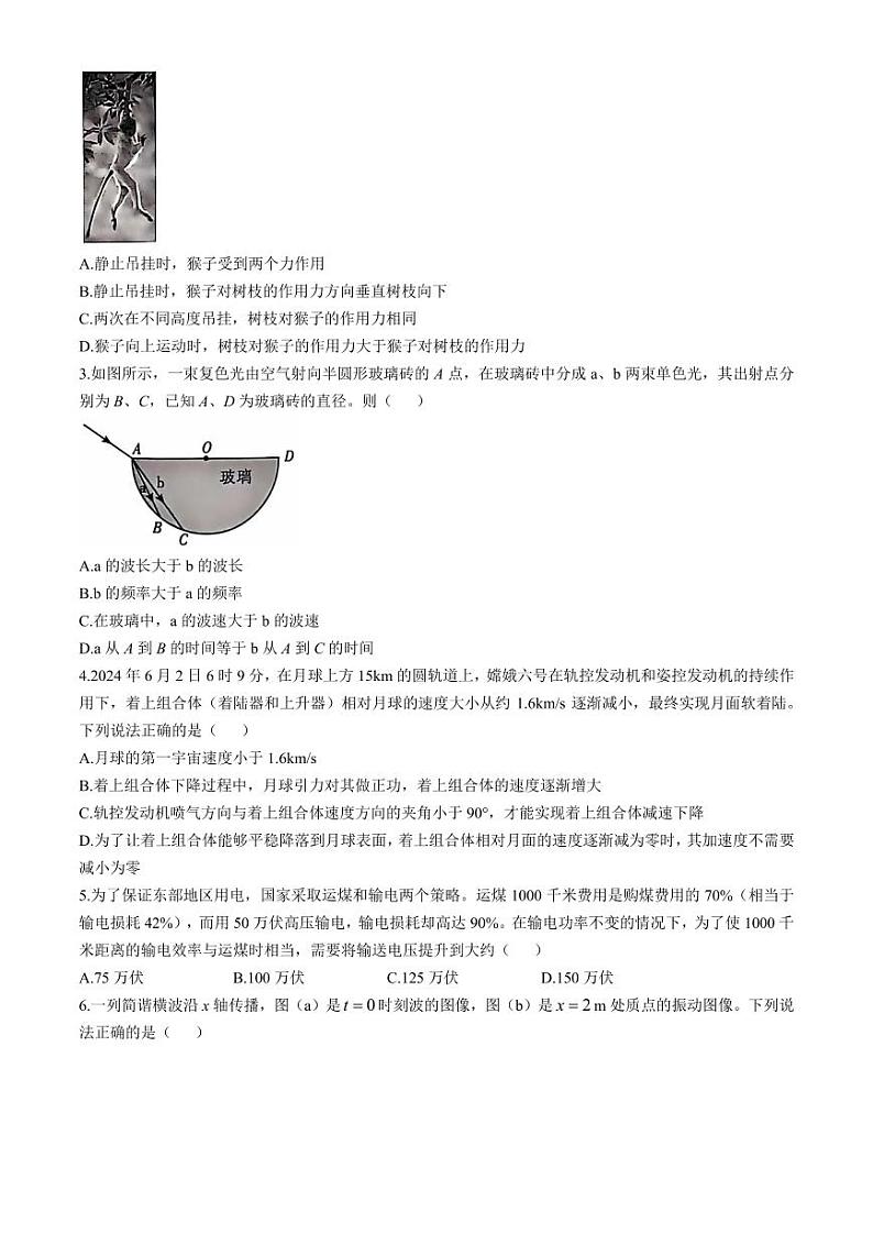 2025届湖北圆创联盟高三上学期11月联考物理试题+答案第2页