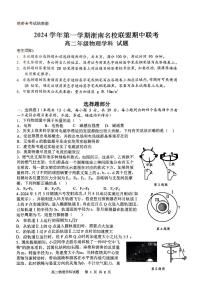 浙江省浙南名校联盟2024-2025学年高二上学期期中联考物理试题