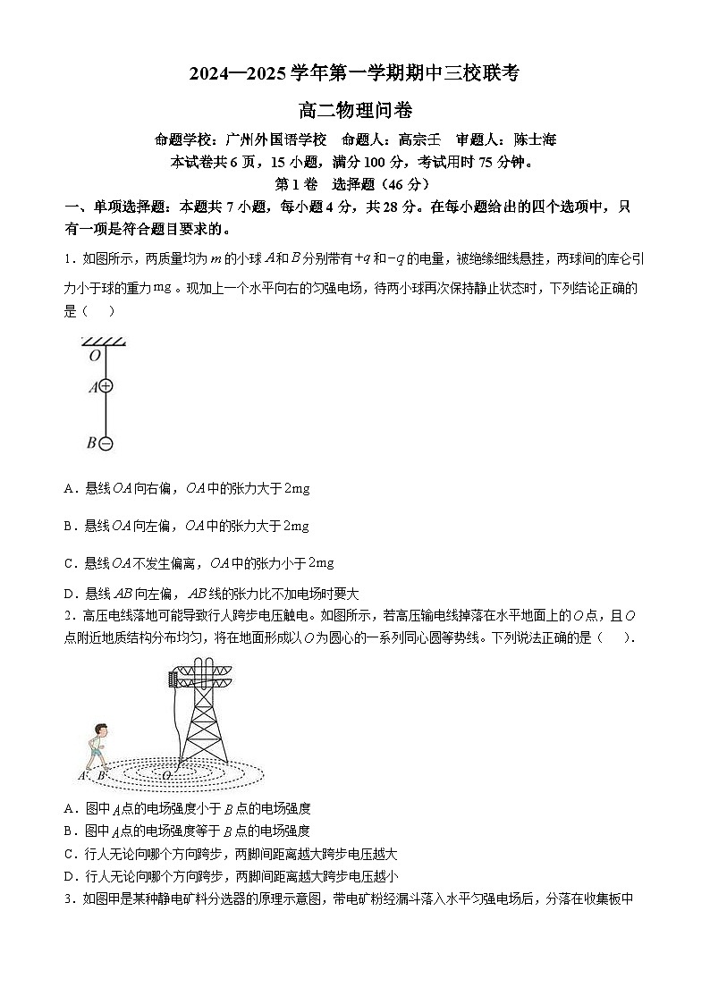 广东省广州市广州外国语学校三校2024-2025学年高二上学期期中联考物理试卷01