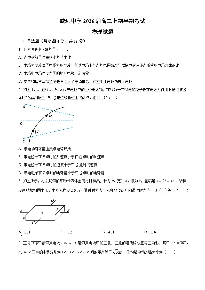 四川省内江市威远中学校2024-2025学年高二上学期期中考试物理试题无答案第1页