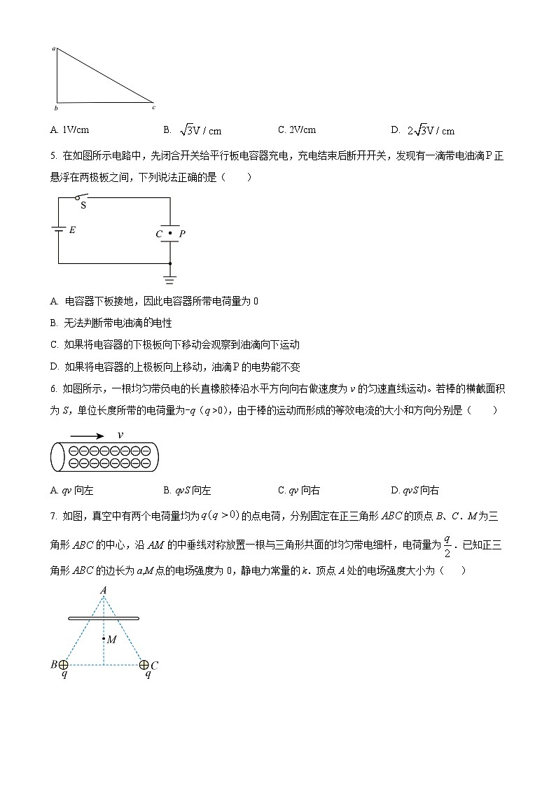 四川省内江市威远中学校2024-2025学年高二上学期期中考试物理试题无答案第2页