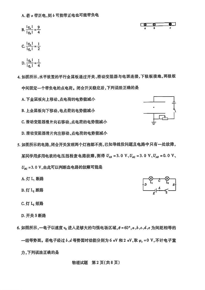南阳六校联考（天一大联考）2024-2025学年高二上学期期中物理试卷及答案第2页